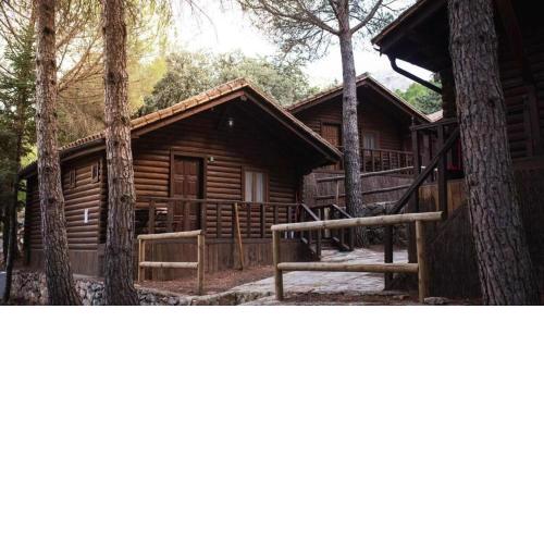 Tienda paraiso