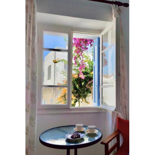Tinos Bougainvillea
