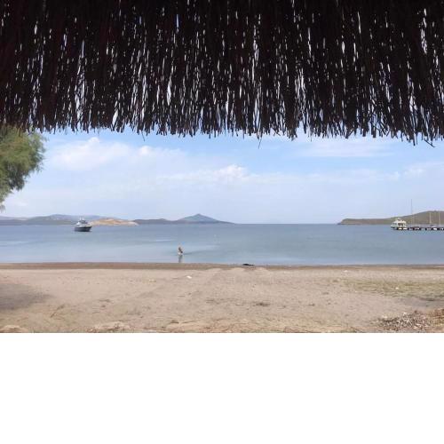 Tiny house by the sea in Bodrum Camel Beach