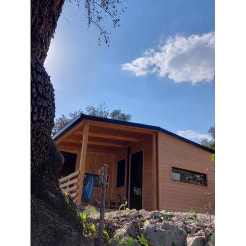 TinyHouse Elia