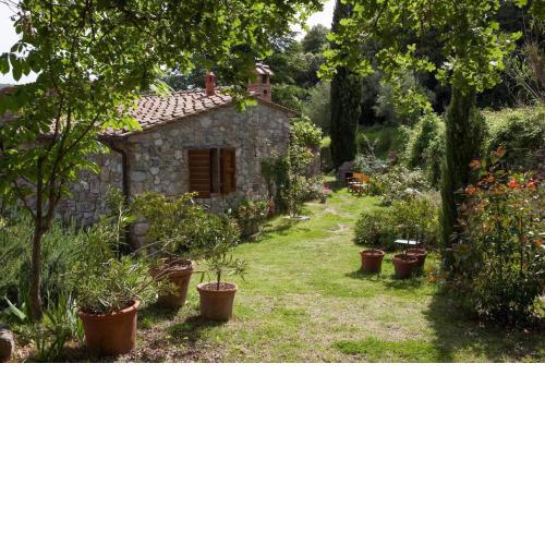 Tolle Ferienwohnung in Pomaia mit Privater Terrasse