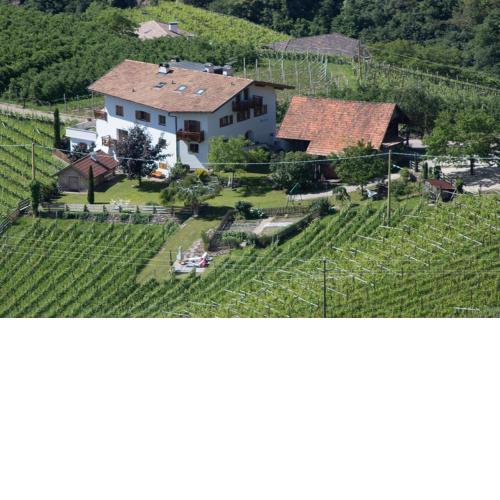 Tollhof