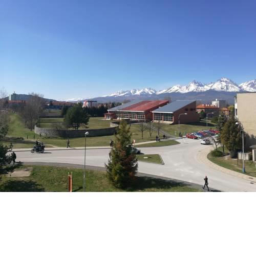 Toniček