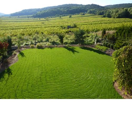 Top over Vienna, Perchtoldsdorf Weinberge ideal with car