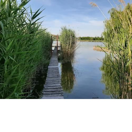 Tóparti faház /Lakeside wooden bungalow