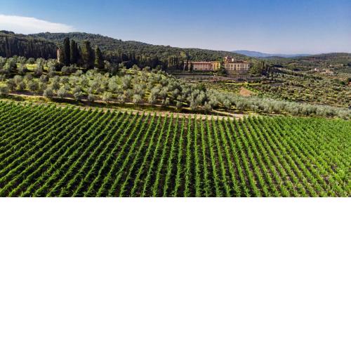 Torre a Cona Wine Estate