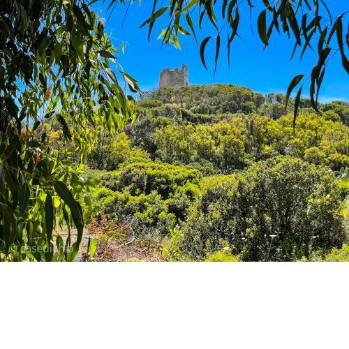 Torre di Chia Holiday Home