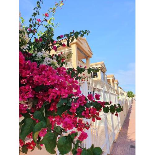 Torrevieja LuxHouse Sun and Mar
