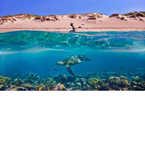 Tortuga Dafni Bay Villas Diver's Paradise
