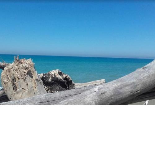 Toscana d'Amare