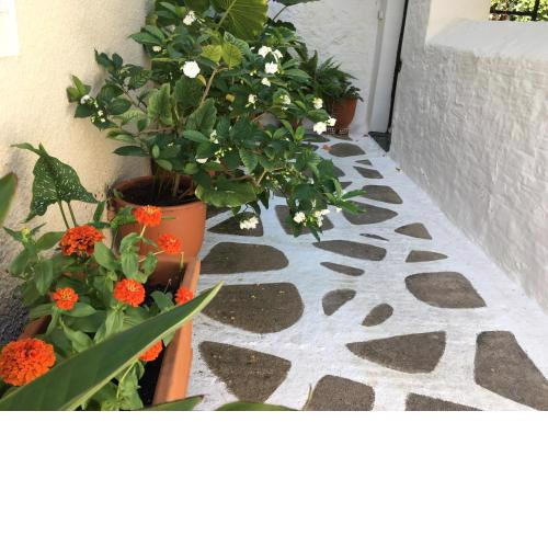 Toula's house 2
