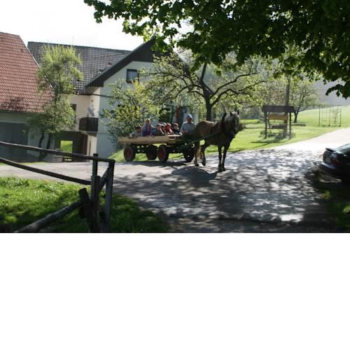Tourist Farm Ljubica