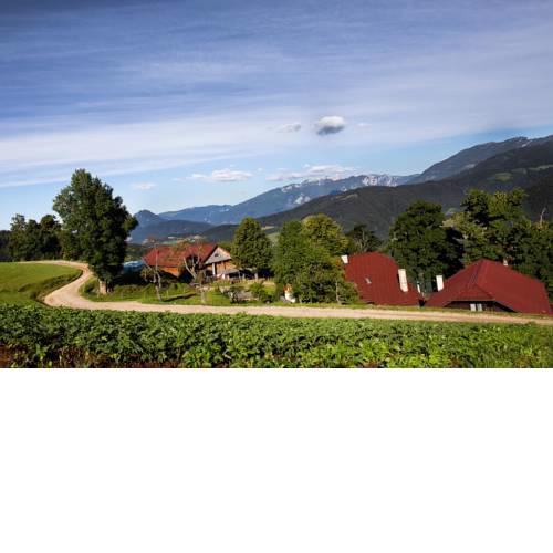 Tourist Farm Visočnik