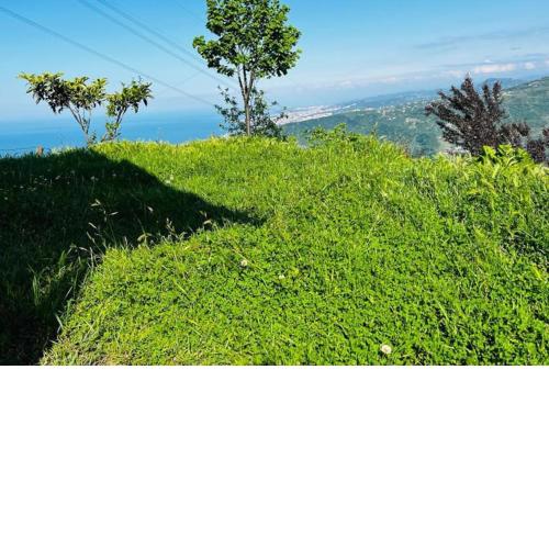 TRABZON aparts villa