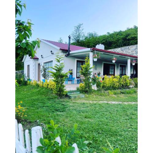 Trabzon saklı villa