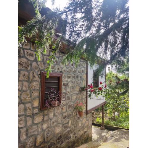 Trabzon Taş Ev