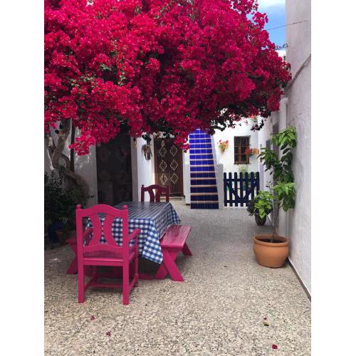 Traditional andalucian house with beautiful patio