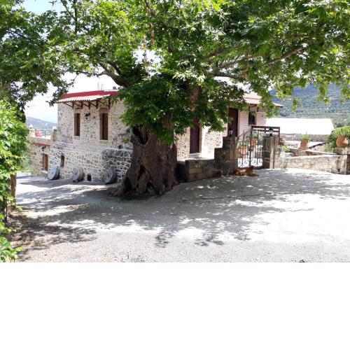 Traditional House Koukounara