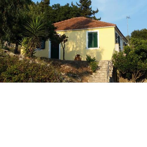 Traditional House