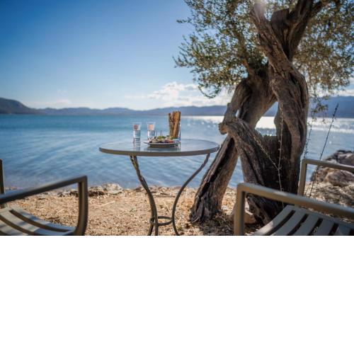 Traditional Stone House in Seafront Olive Grove A