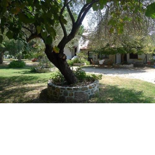 Traditionelles Appartement ATHOS SHADOW am Meer