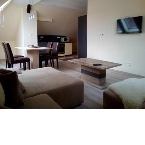 Transit Apartment