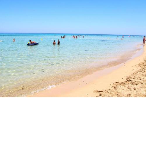 Trapani love