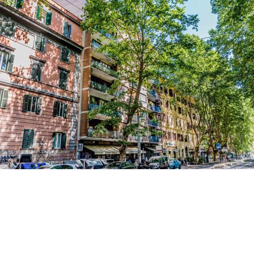 TRASTEVERE ALEXANDRO IL GLADIATORE