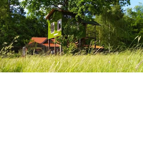 Tree House Ramona