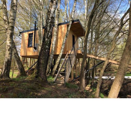 Treehouse 2čapy