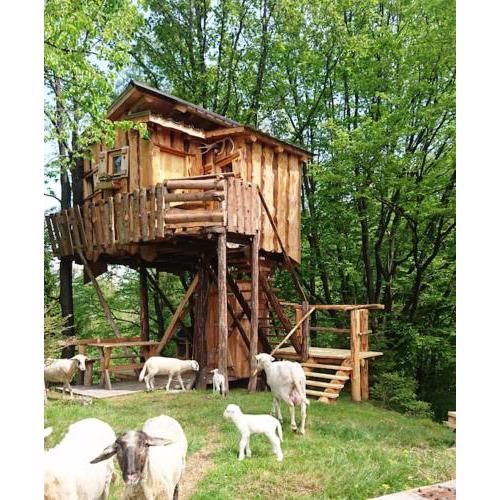 Treehouse Toplak