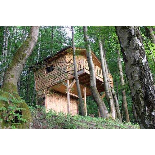 Treehouse Velké Losiny