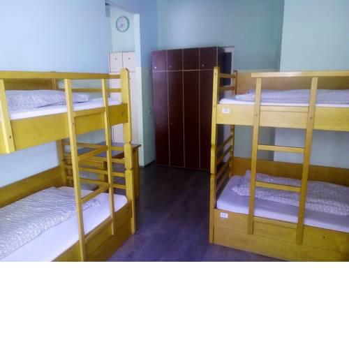 Treestyle Hostel