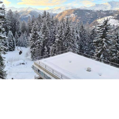 Trilocale sulle piste con vista sulla ValdiSole