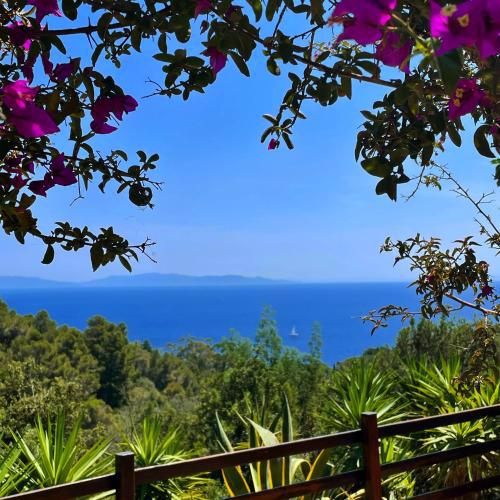 Trilocale Vista Mare Isola d'Elba