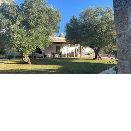 Trulli Apulia- Valle D'Itria-