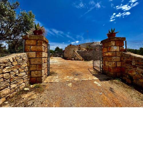 Trulli delle succulente