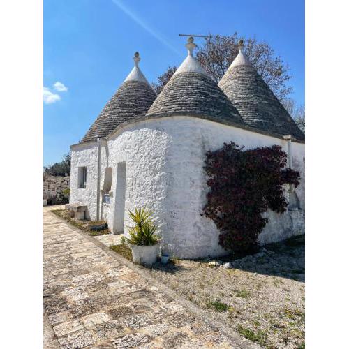 trulli mancinella