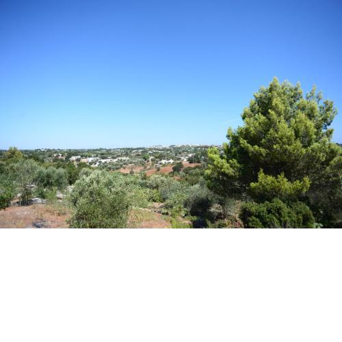 Trullo del Colonnello