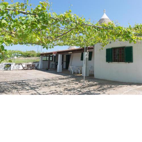 TRULLO LA GRANDE PERGOLA