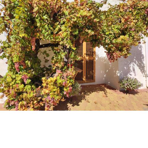 Trullo Nonna Rosa
