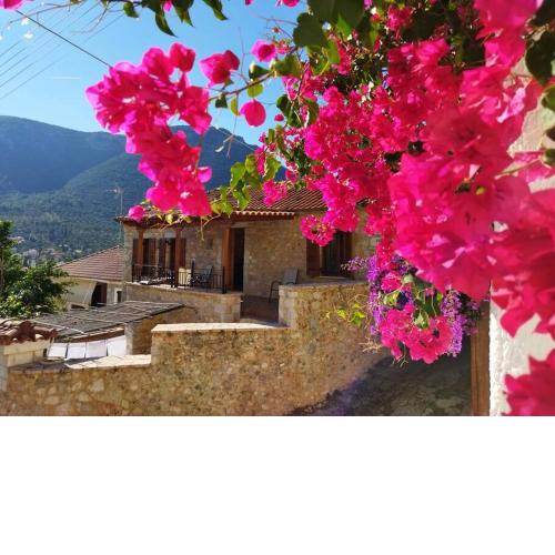 Tsolakis Luxury House