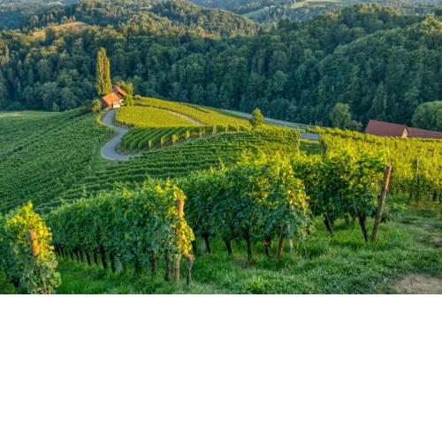 Turistična kmetija Dreisiebner
