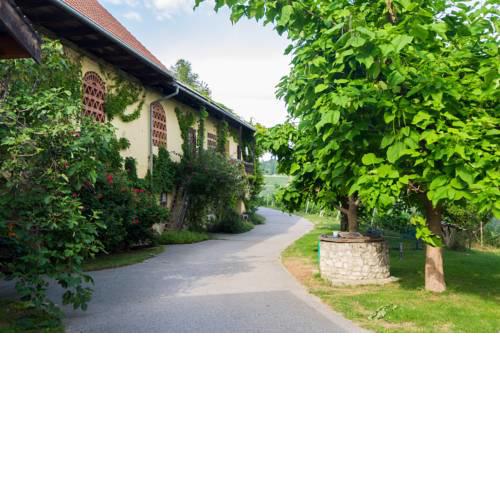 Turistična kmetija Vrezner Apartment