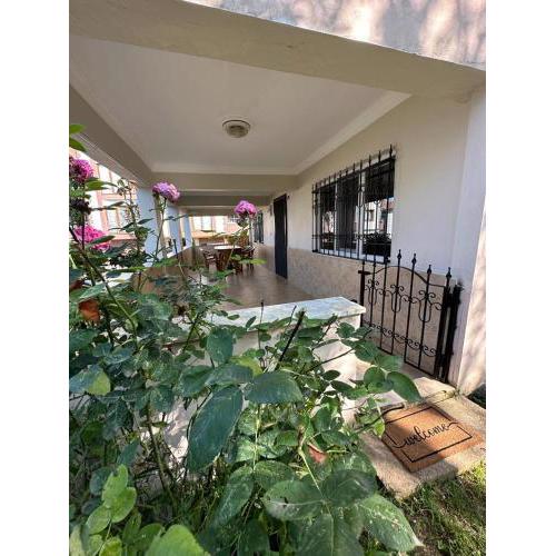 turkish house with garden