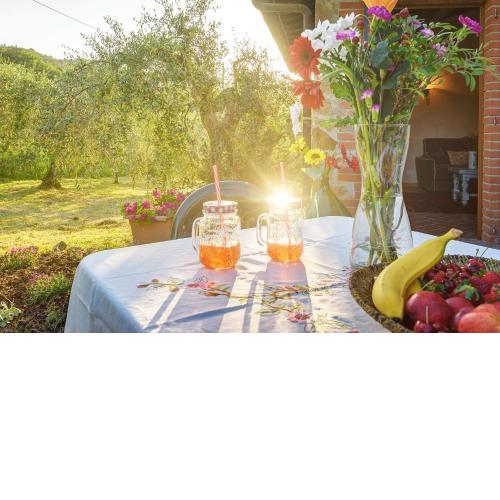 Tuscan Roots