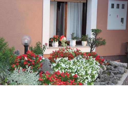 Tutnovo 13