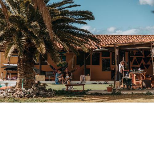Twin Fin Surf Camp