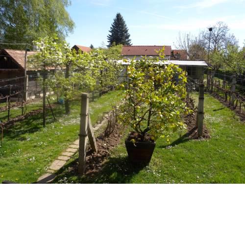 Two-Bedroom Apartment in Balatonbereny I