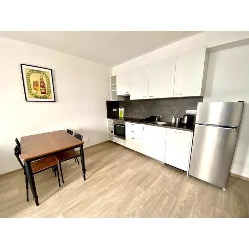 Two-room apartment with garage in the center